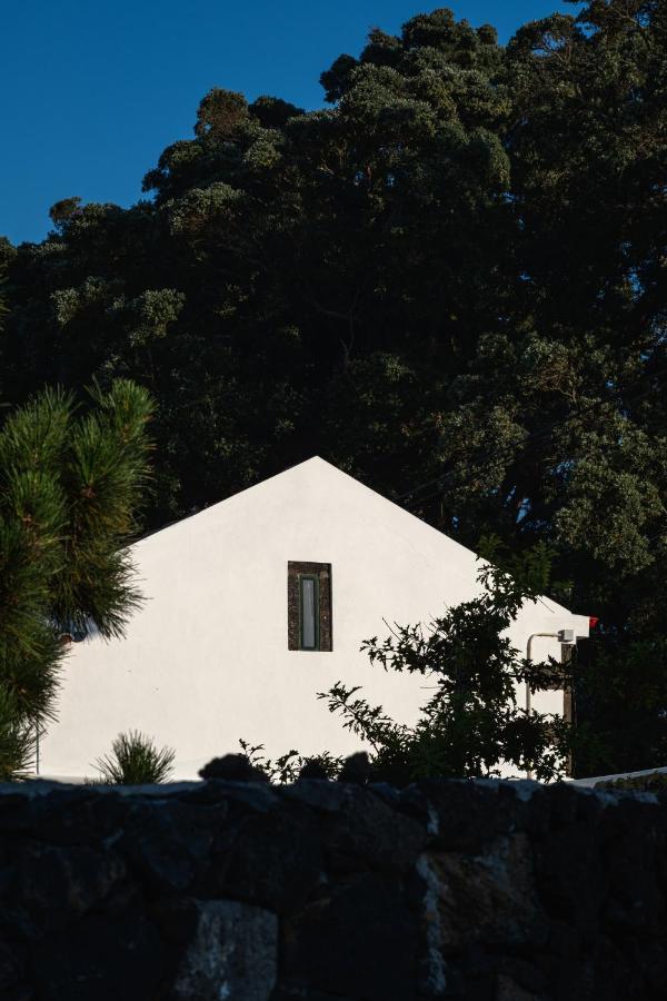 Entre Muros - Turismo Rural - Casa Com Jardim E Acesso Direto Ao Mar Ribeira Grande Eksteriør billede